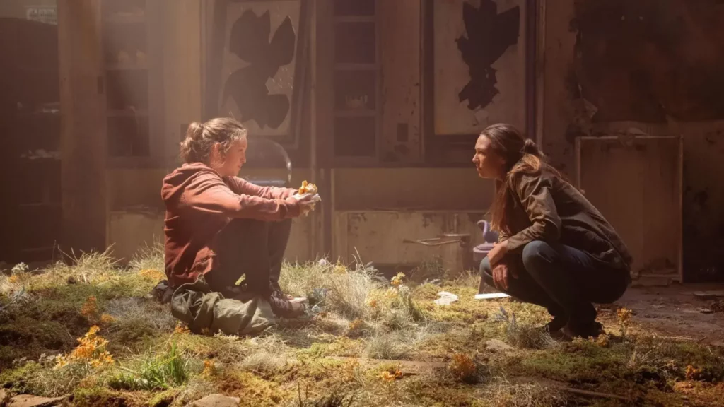 The last Of Us
