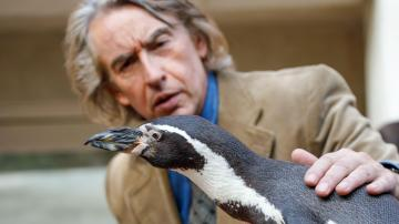 Penguin Lessons
