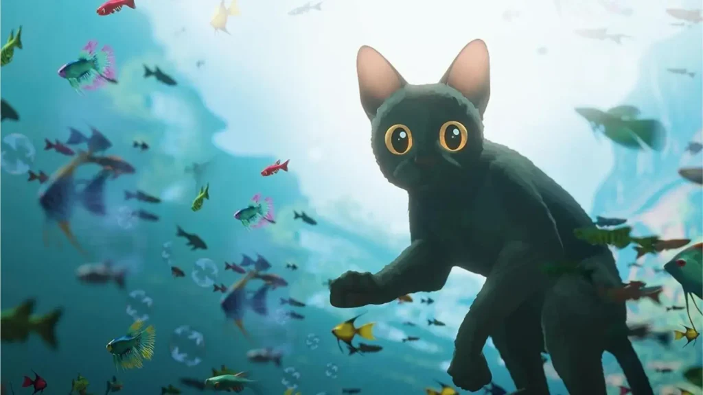Animación