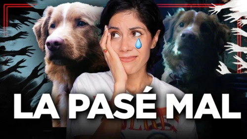 Good Boy: terror + perrito = sufrir
